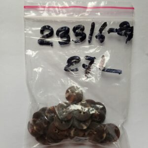 2331625